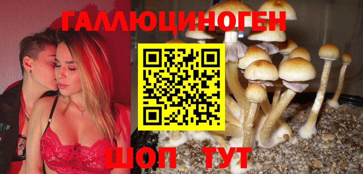 Галлюциногенные грибы Psilocybe  магазин продажи   Ахтубинск  Вход с VPN  Псилоцибиновые грибы GOLDEN TEACHER 