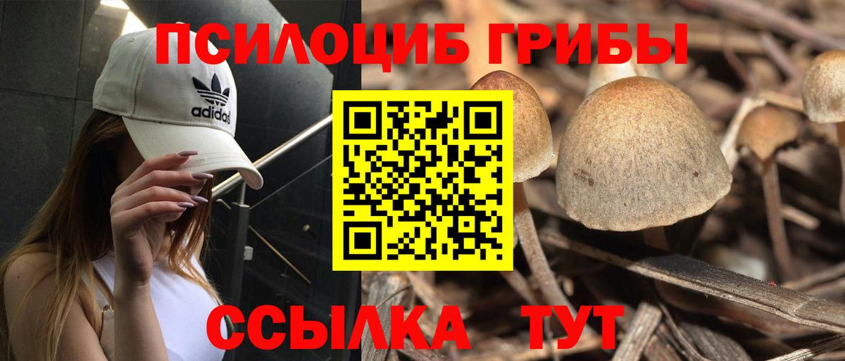 Галлюциногенные грибы Magic Shrooms Ахтубинск